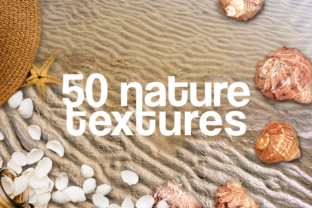 50 Nature Textures Beach Grass Rocks Sea